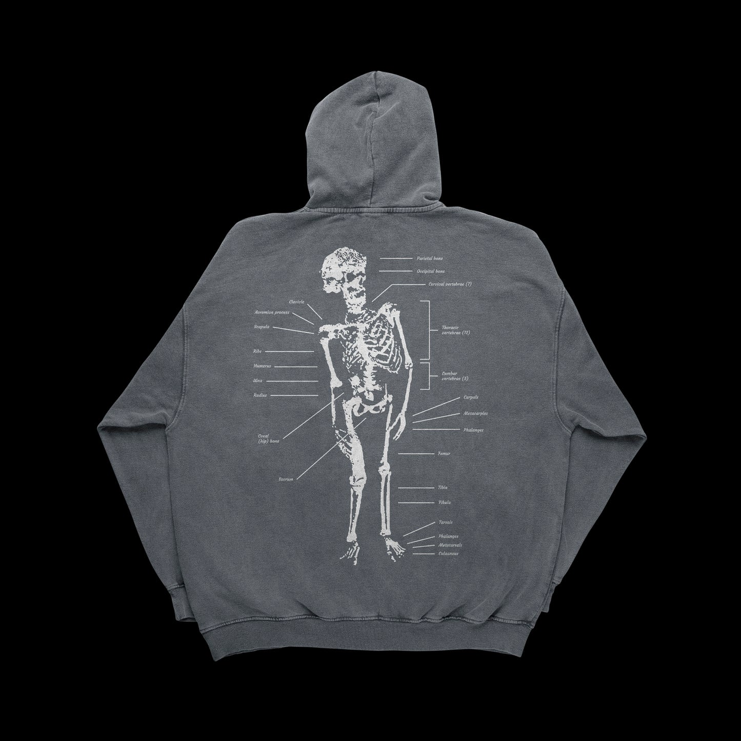 The Elephant Man's Bones (Slate Hoodie)