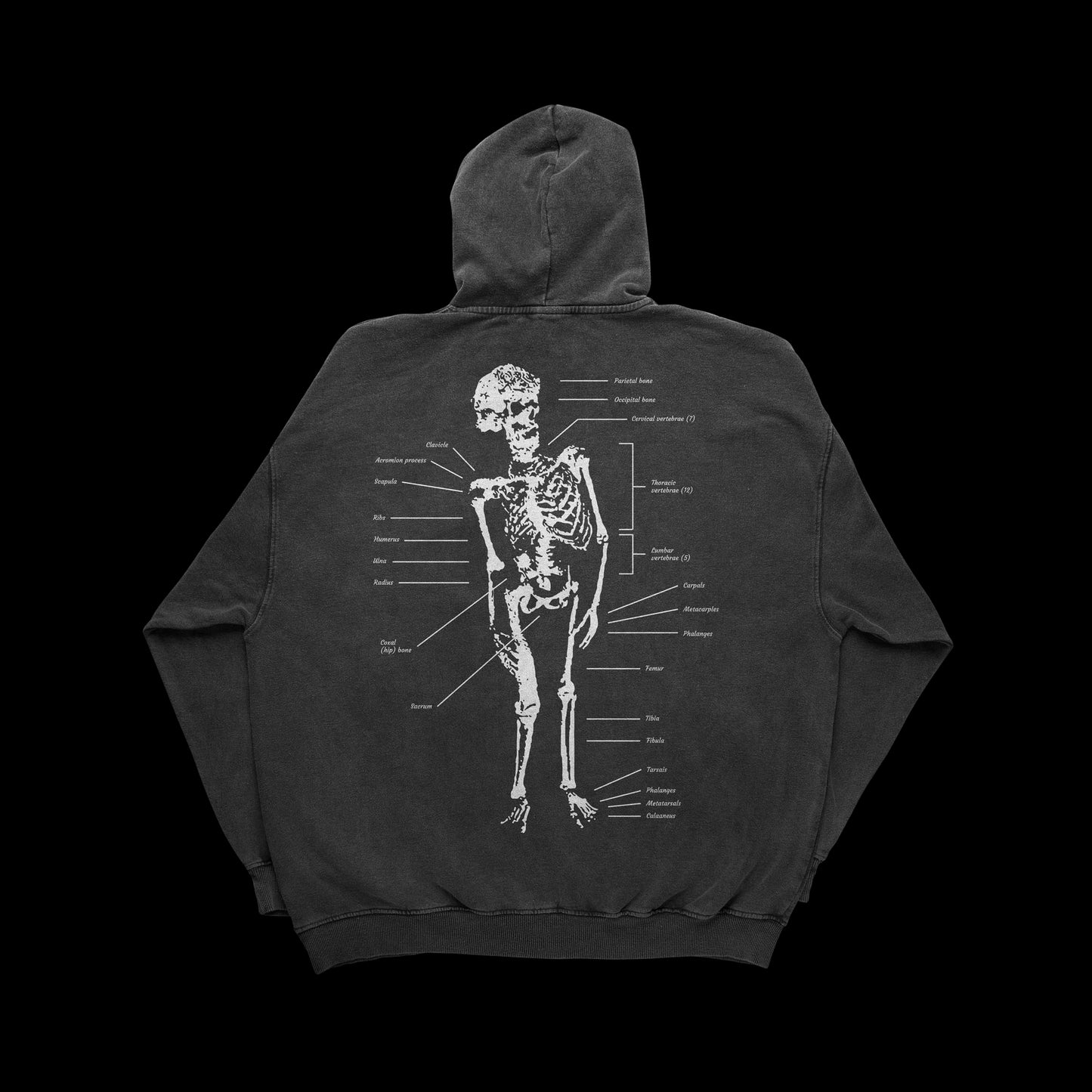 The Elephant Man's Bones (Black Hoodie)